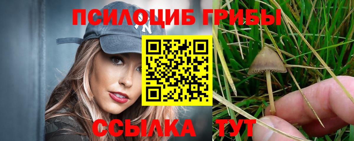 Псилоцибиновые грибы GOLDEN TEACHER  Галлюциногенные грибы Psilocybine cubensis  Вход с VPN  Протвино 